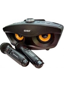 sdrd sd-306 karoke speaker 