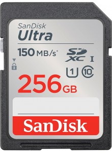 SanDisk SDSDUNC-256G-GN6IN SanDisk SDSDUNC-256G-GN6IN
