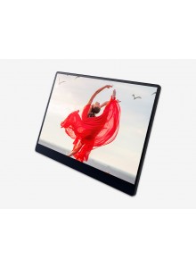 Ricoh Portable Monitor 150 