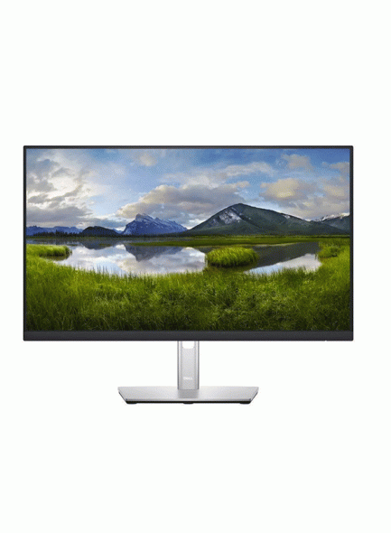 DELL 24" P2422H HDMI/DP/VGA Monitor